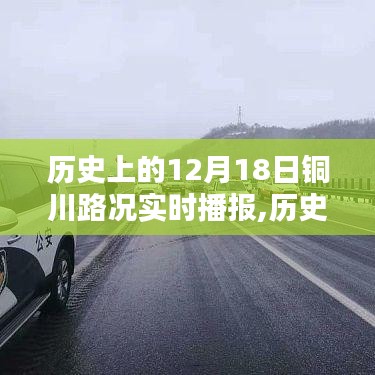 展翅欲飛 第4頁
