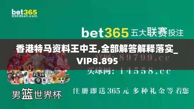 香港特馬資料王中王,全部解答解釋落實(shí)_VIP8.895