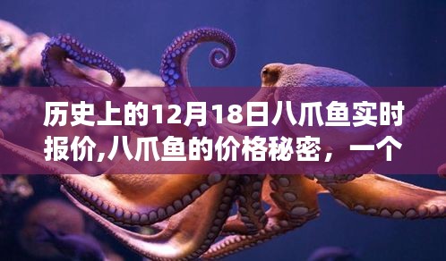 揭秘八爪魚價(jià)格秘密，溫馨十二月十八日故事與實(shí)時(shí)報(bào)價(jià)