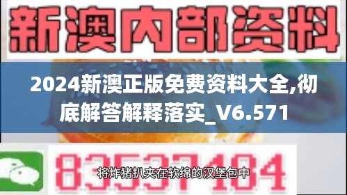 2024新澳正版免費資料大全,徹底解答解釋落實_V6.571