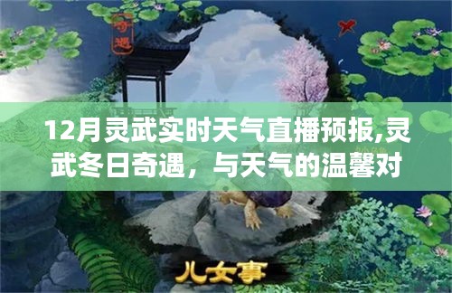 靈武冬日奇遇，實時天氣直播與朋友的深厚情誼體驗