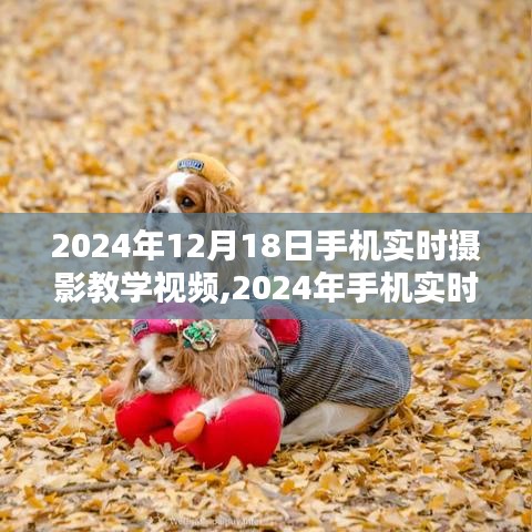 掌握攝影技巧，手機(jī)實(shí)時(shí)攝影教學(xué)視頻，記錄生活之美（2024年最新版）