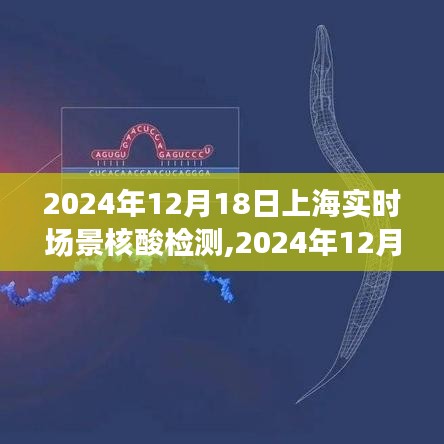 上海實時場景核酸檢測，前沿技術助力城市防控的新篇章（2024年12月18日）