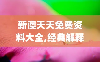 新澳天天免費資料
