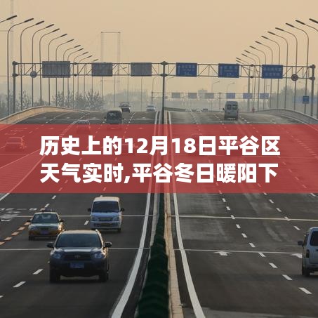 坌鳥(niǎo)先飛 第3頁(yè)