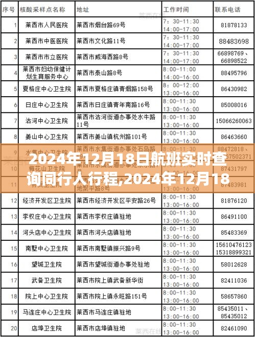 2024年12月18日航班同行人實(shí)時查詢，追蹤時代旅程的便捷工具