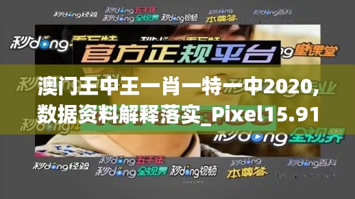 澳門王中王一肖一特一中2020,數據資料解釋落實_Pixel15.912