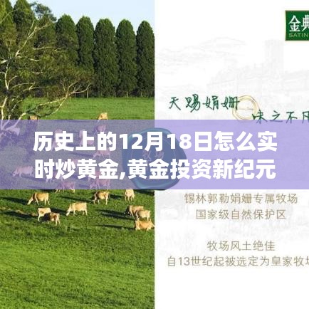 黃金投資新紀(jì)元，科技引領(lǐng)下的實(shí)時(shí)交易體驗(yàn)與黃金市場走勢(shì)解析（12月18日篇）