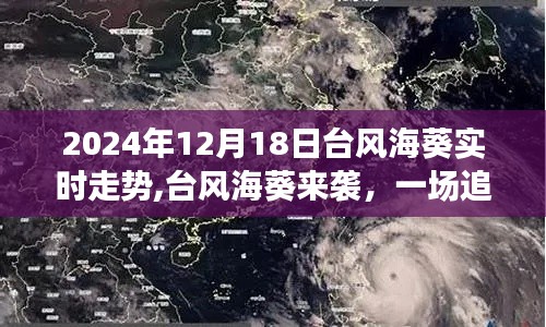 臺(tái)風(fēng)海葵來(lái)襲，追尋自然寧?kù)o的奇妙旅行實(shí)時(shí)走勢(shì)（2024年12月18日）