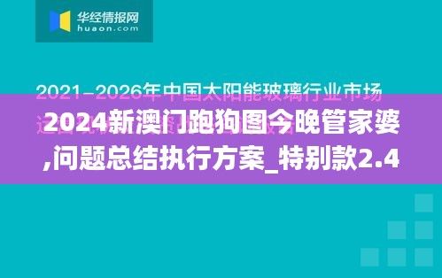2024新澳門跑狗圖今晚管家婆,問題總結執(zhí)行方案_特別款2.411