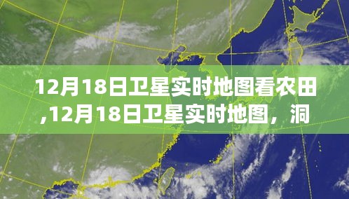 12月18日衛(wèi)星實(shí)時(shí)地圖揭示農(nóng)田冬季面貌
