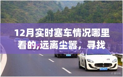 12月旅行路上的塞車風(fēng)景探索，尋找心靈綠洲與實(shí)時(shí)路況美景體驗(yàn)