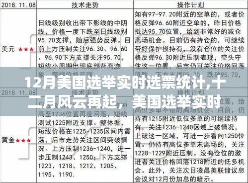 美國(guó)大選風(fēng)云再起，實(shí)時(shí)選票統(tǒng)計(jì)背后的故事揭秘
