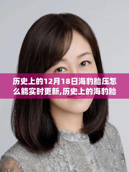 歷史上的海豹胎壓，實(shí)時(shí)更新的奇跡與科技進(jìn)步的見證者