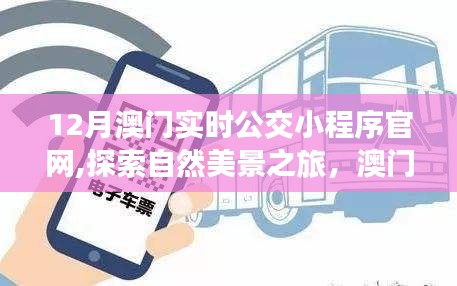 澳門公交小程序，探索自然美景之旅，寧靜平和的出行伴侶