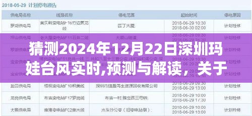 關于深圳瑪娃臺風在2024年12月22日的實時動態(tài)分析與預測解讀