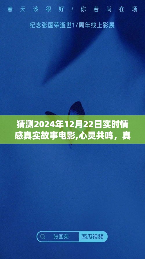 2024年12月22日實時情感真實故事電影深度解析與心靈共鳴
