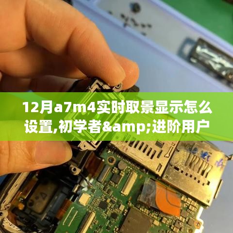 初學(xué)者與進(jìn)階用戶適用的12月A7M4實時取景顯示設(shè)置指南