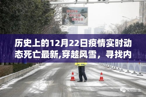 歷史上的十二月二十二日，疫情動態(tài)與自然的寧靜奇景之旅