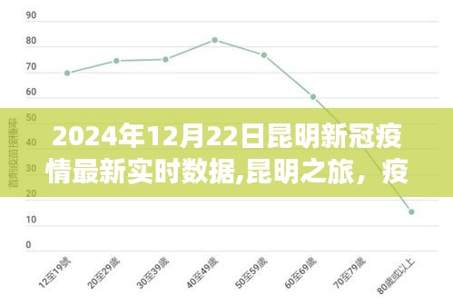 昆明新冠疫情最新實(shí)時(shí)數(shù)據(jù)下的綠洲之旅，尋找內(nèi)心的寧靜與力量