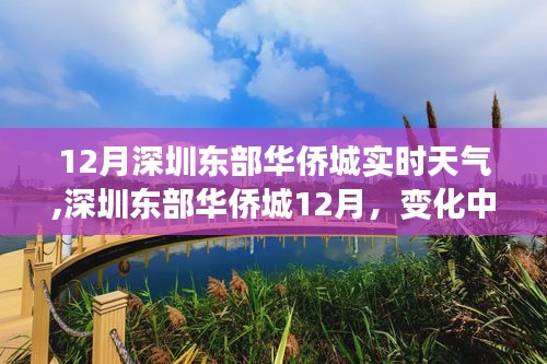 深圳東部華僑城12月實(shí)時(shí)天氣與變化中的學(xué)習(xí)之旅，自信與成就感的陽光照耀