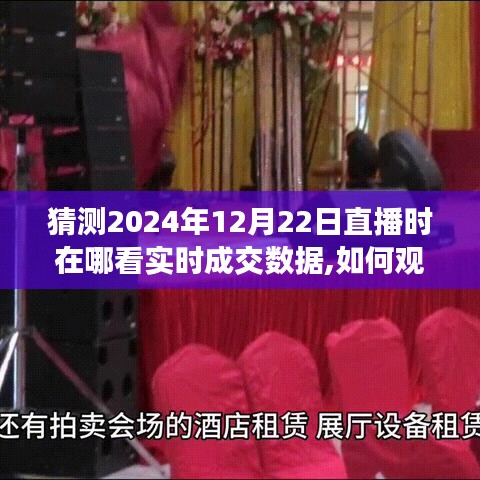 2024年12月22日直播實(shí)時(shí)成交數(shù)據(jù)觀看指南，如何在線獲取詳細(xì)步驟