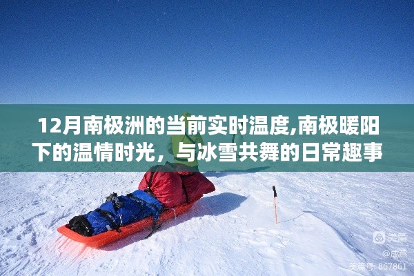 南極洲12月實時溫度揭秘，暖陽下的溫情時光與冰雪生活的日常趣事