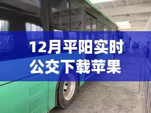 探秘小巷深處的公交時光，平陽實時公交蘋果版下載與特色小店的奇遇