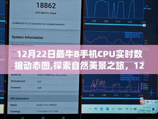 12月22日手機CPU實時數據動態圖，探索自然美景，領略寧靜之美之旅