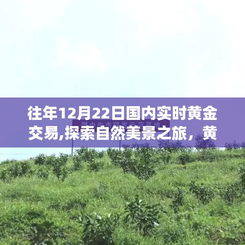 黃金交易與自然美景之旅，一場遠(yuǎn)離塵囂的奇妙黃金交易體驗與心靈之旅