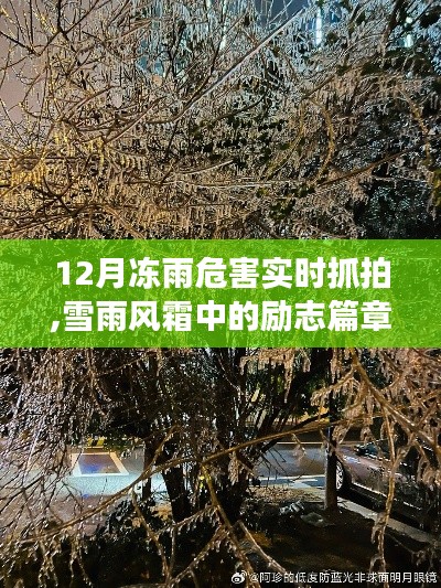 雪雨風(fēng)霜中的勵志篇章，凍雨危害下的學(xué)習(xí)與自信成長之路