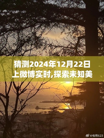 探索未知美景，尋找內心寧靜，2024年微博實時自然之旅猜想揭秘