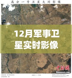 鳥驚鼠竄 第3頁