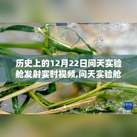 回顧歷史上的輝煌時刻，問天實驗艙發(fā)射回顧與實時視頻記錄