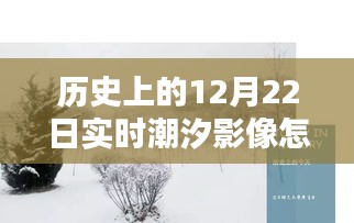 粗枝大葉 第2頁(yè)