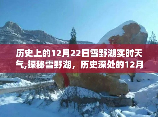 雪野湖歷史實(shí)時(shí)天氣揭秘，探尋12月22日的獨(dú)特風(fēng)情與小巷韻味