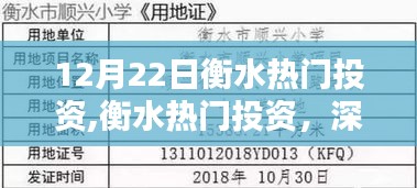 衡水熱門投資深度測評與介紹，最新動態及介紹