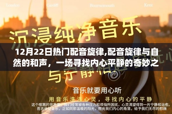 尋找內(nèi)心平靜的奇妙之旅，12月22日熱門配音旋律與自然的和聲