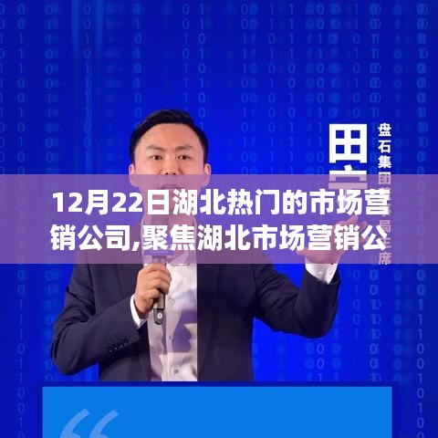 湖北市場(chǎng)營(yíng)銷(xiāo)公司行業(yè)領(lǐng)軍者的策略與魅力探尋（日期，12月22日）