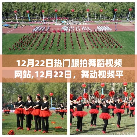 12月22日熱門舞蹈視頻平臺，舞動人生，躍動自信的奇跡舞步