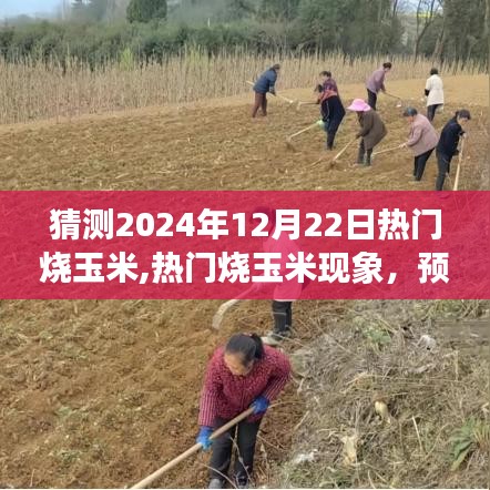 預(yù)測(cè)與探討，2024年12月22日燒玉米熱潮的興起與現(xiàn)象