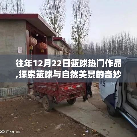 籃球與自然美景的奇妙之旅，鼓舞人心的冬日征途探索回顧