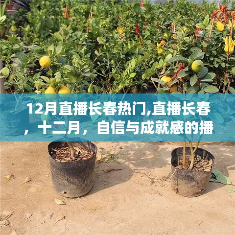 12月長(zhǎng)春直播熱潮，播種自信與成就感的季節(jié)