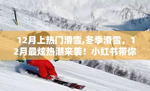 風華絕代 第3頁