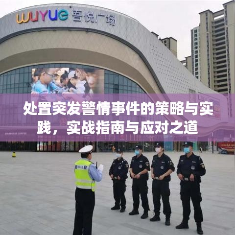 處置突發(fā)警情事件的策略與實踐，實戰(zhàn)指南與應對之道