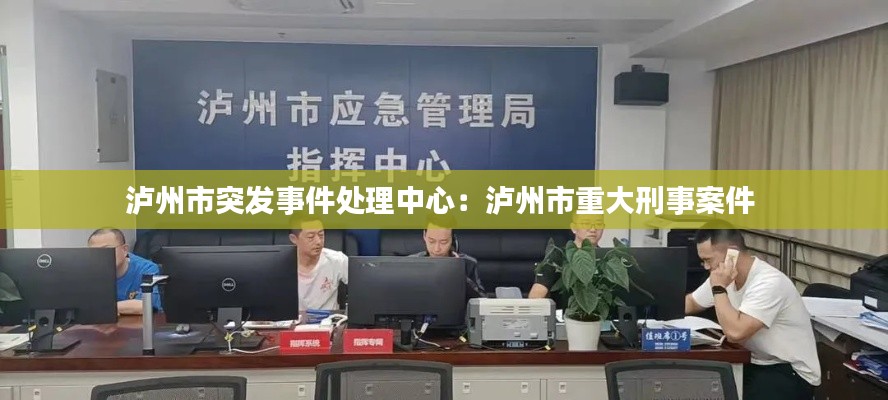 瀘州市突發(fā)事件處理中心：瀘州市重大刑事案件 