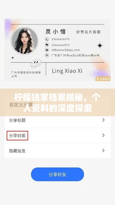 檸檬獨家檔案揭秘，個人資料的深度探索
