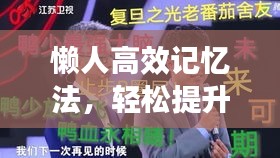 懶人高效記憶法，輕松提升記憶力的秘訣攻略