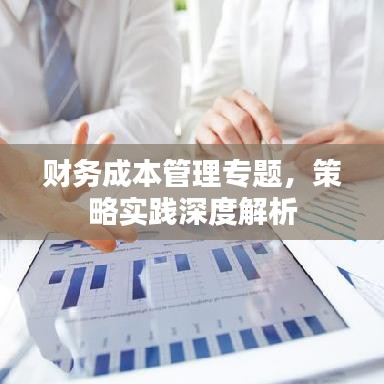 財(cái)務(wù)成本管理專題，策略實(shí)踐深度解析