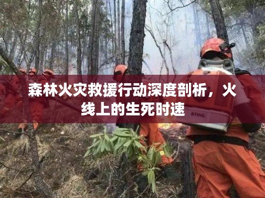 森林火災(zāi)救援行動深度剖析，火線上的生死時速
